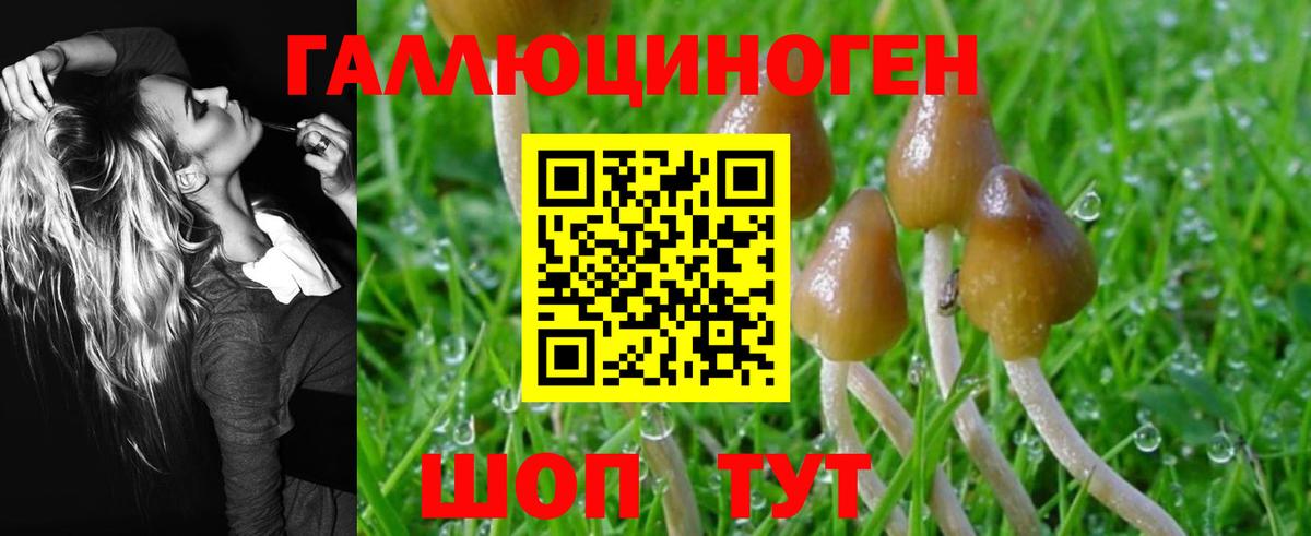 Кашира  Галлюциногенные грибы Psilocybine cubensis  Вход с VPN 